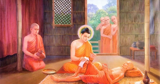 Phật dạy về bệnh tật ở những nguyên nhân nào gây ra sự chết oan?