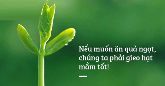 Ý nghĩa cội rễ của Luật Nhân Quả