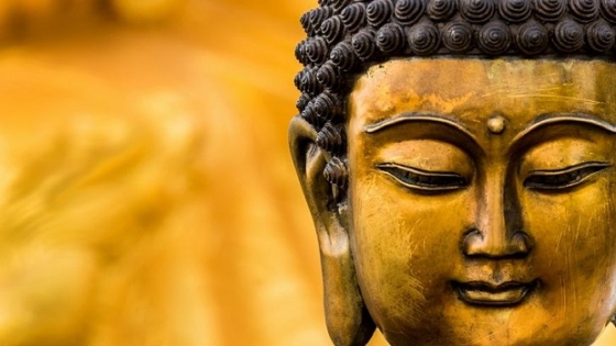 Phật: Những hình ảnh về Phật hay truyền tải những thông điệp ý nghĩa về tình yêu thương, nhân từ và tâm an lạc. Hãy cùng chiêm ngưỡng vẻ đẹp và sự thanh tịnh của Phật qua những bức hình đầy sắc màu.