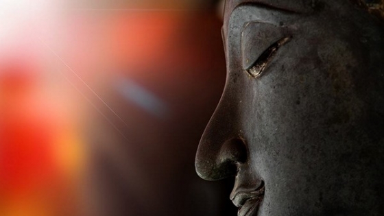 Không có gì ngọt ngào hơn khi đối diện với cảm xúc chân thành của Phật khóc. Hãy cùng hòa mình vào không khí tĩnh lặng và tận hưởng sự thanh tịnh mà hình ảnh này mang lại cho bạn.