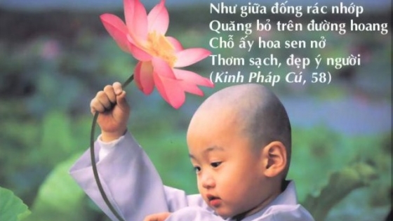 Kinh Pháp cú (Dhammapada) - những câu kệ tuyệt diệu của đạo Phật