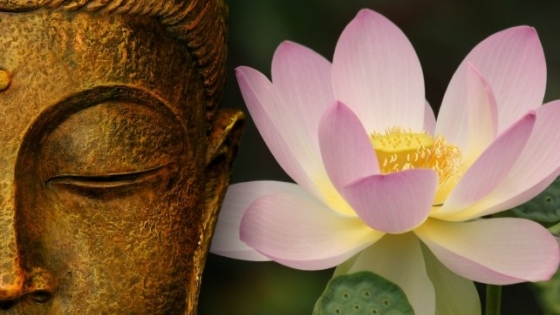 Hoa sen và thuyết luân hồi luôn được liên kết với nhau trong tín ngưỡng Phật giáo. Với tứ linh: chuột, rắn, hổ và phượng hoàng, hoa sen cũng được coi là một trong những biểu tượng của sự đẹp nhất của côn trùng, đồng thời là biểu tượng của sự bất diệt và sự tái sinh.