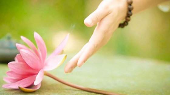 Hãy học cách buông bỏ