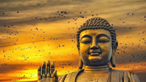 Hãy cùng ngắm nhìn hình ảnh Đức Phật A Di Đà, với nụ cười hiền hòa và ánh mắt từ bi, sự bao dung và tình yêu thương của Ngài đến với muôn loài. Chỉ cần một phút nhìn vào bức tranh Đức Phật A Di Đà, bạn sẽ cảm thấy bình yên và an lạc trong tâm hồn.