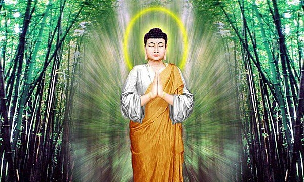 Hành trình Chứng ngộ của La Hầu La và chế độ cúng dường Tịnh xá theo luật Phật