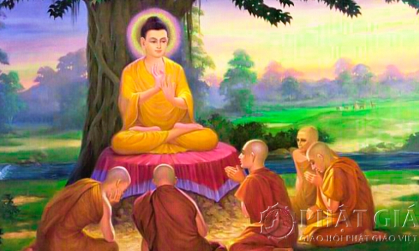 Bài học từ câu chuyện Đức Phật và hồ nước