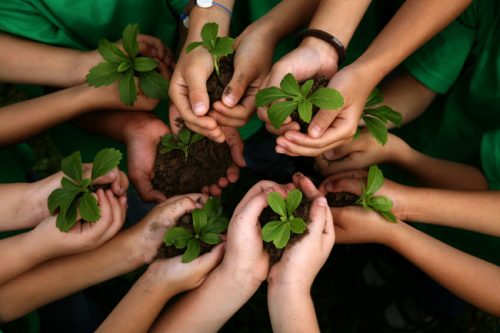 Philippines quy định học sinh, sinh viên phải trồng cây mới được tốt nghiệp