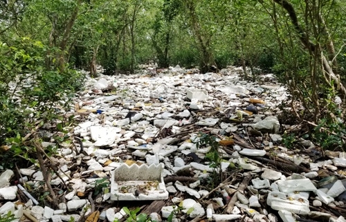Hàng nghìn tấn rác phủ kín rừng ngập mặn ven biển Hải Phòng
