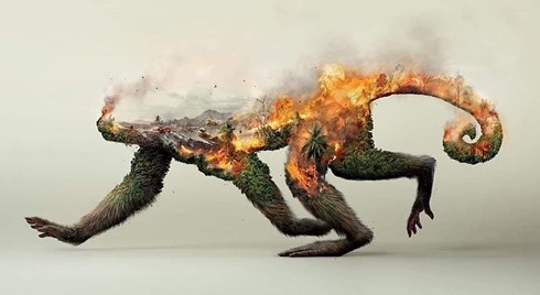 Hình ảnh những con thú chết cháy khi rừng Amazon ngập trong biển lửa