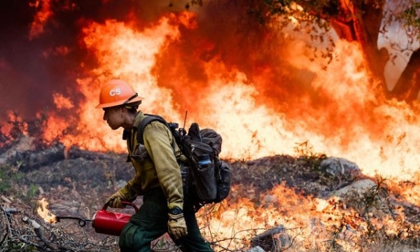Hình ảnh những người lính cứu hỏa trong trận chiến cháy rừng Amazon