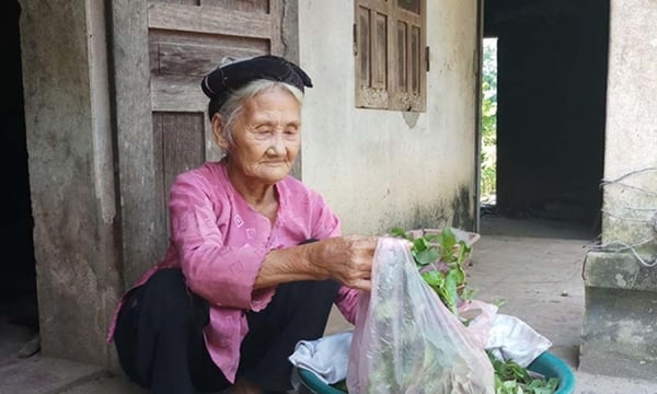 Lời Phật dạy về 'Thiểu dục tri túc' và câu chuyện về cụ bà 83 tuổi 'xin thoát nghèo'