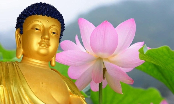Ứng dụng lý nhân duyên để thấu triệt lời Phật dạy