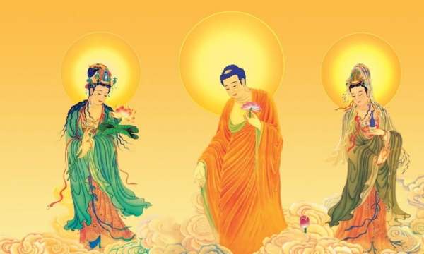 Tất cả Phật tử đều nguyện vãng sinh có về thế giới cực lạc hay không?