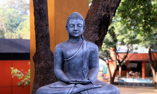 Người trí thức và đạo Phật (II)