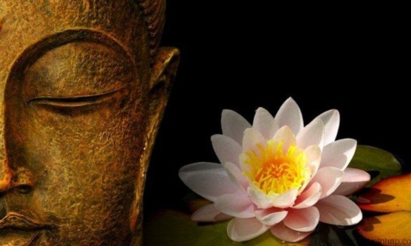 Ai là người niệm Phật?