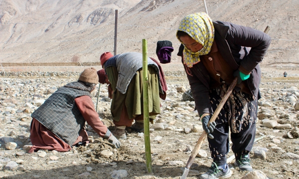 Các nhà sư ở Ladakh đang chống biến đổi khí hậu như thế nào?