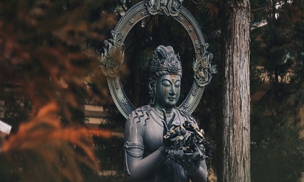 Cây cổ thụ Phật giáo