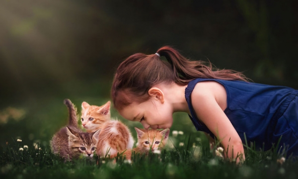 Dạy trẻ yêu thương loài vật - Hành động nhỏ, công đức lớn