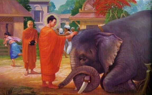 Đức Phật dạy: Con người nên phóng sinh, ăn chay, niệm Phật, thực có thể nói là lòng hiếu từ vô tận