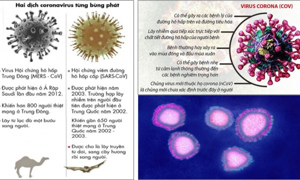 Các bước cần làm khi đi khám bệnh để không lây nhiễm virus SARS-CoV-2