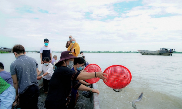 Hơn 1 tấn cá được phóng sinh nhân ngày vía Bồ Tát Quán Thế Âm Thành Đạo