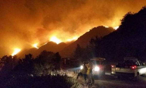 Trung tâm Thiền trên núi Tassajara bị cháy rừng đe dọa
