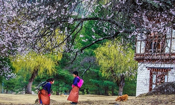 Xứ sở thần tiên Bhutan qua lời kể hai nhiếp ảnh gia Việt