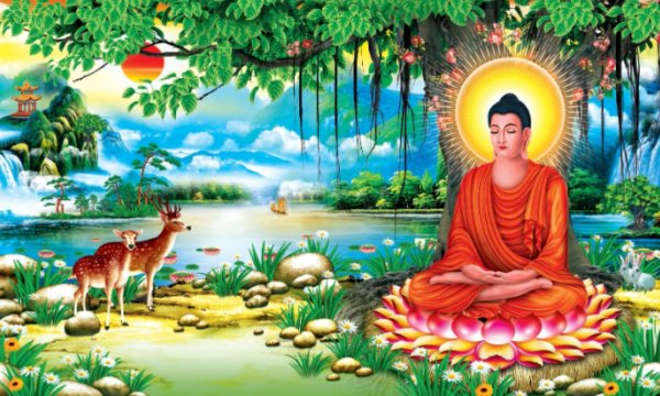 'Thái độ sống bảo vệ môi sinh' dưới quan điểm của Phật giáo