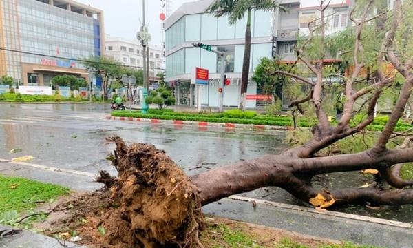 Đã có 2 người chết, 5 người bị thương do bão số 9 ở Quảng Ngãi