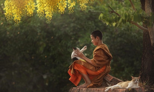 Lòng từ bi trong tu tập đạo Phật