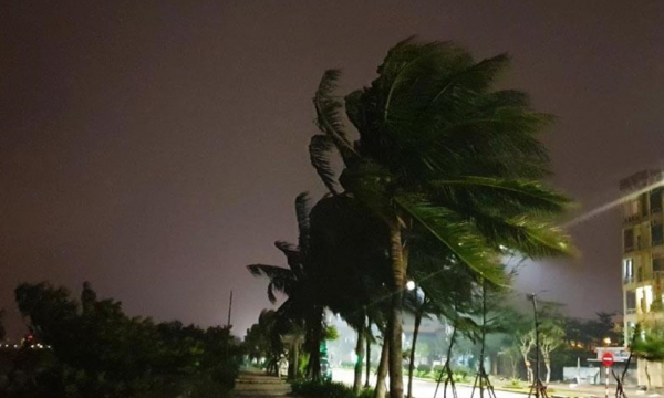 Bão số 9 đổ bộ gây mưa to gió lớn áp sát đất liền Đà Nẵng - Phú Yên