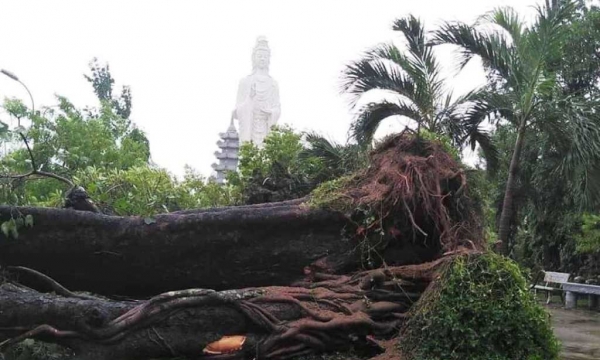 Nhiều chùa tại Quảng Nam bị hư hại sau bão số 9