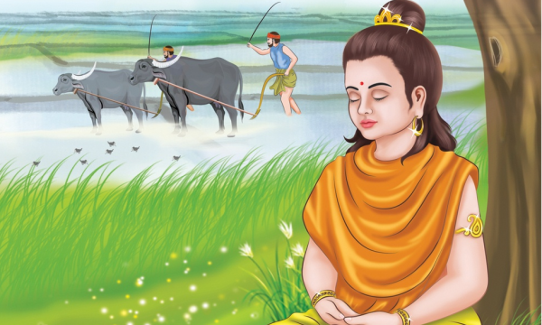Lược truyện Đức Phật Thích Ca: Dự lễ cày ruộng đầu năm