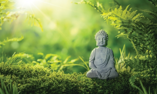 Đạo Phật và môi trường
