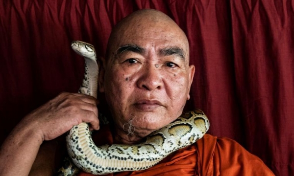 Nhà sư Myanmar cưu mang rắn trong đền thờ, xem chúng là con cái