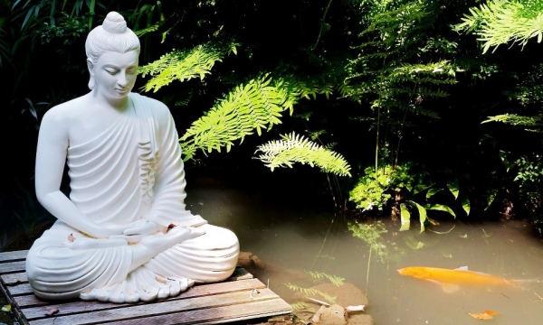 Cuộc đời đức Phật và môi trường