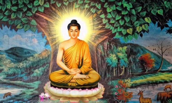 “Học Phật càng lâu, rời Phật càng xa” có đúng không?