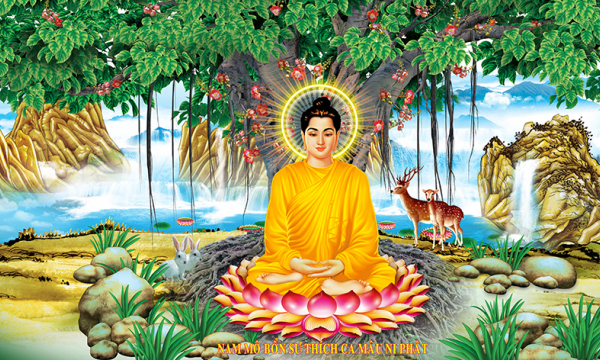 Thái độ của Đức Phật trước lời khiển trách