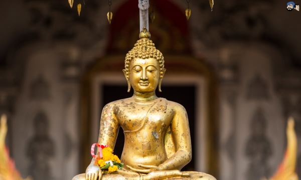 An trụ trong tâm thanh niệm Phật chính là cảnh giới thù thắng nhất