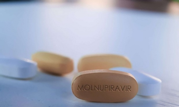 Ngày 27/8, thuốc Molnupiravir được Bộ Y tế đưa vào điều trị F0 tại nhà