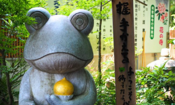 Chùa Nyoirin-ji: nơi có nhiều tượng ếch nhất Nhật Bản