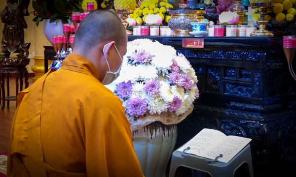 Người thường hay chia sẻ Phật Pháp cho nhiều người biết được phước báu gì?