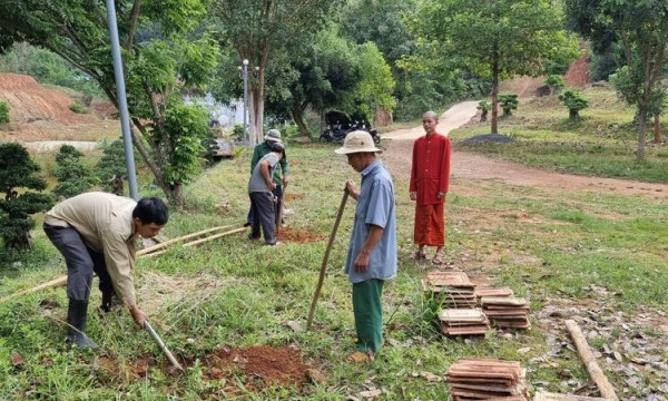 Chùa Linh Phú (huyện Tân Phú) – Tăng, Ni và Phật tử trồng 1000 cây sao nhân dịp xuân Nhâm Dần