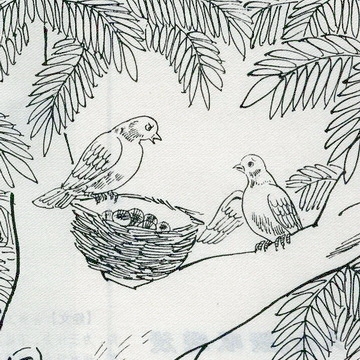 Kinh Bách Dụ: Đôi chim bồ câu