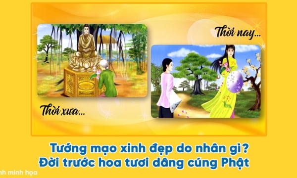 Lời Phật dạy qua truyện tranh nhân quả báo ứng