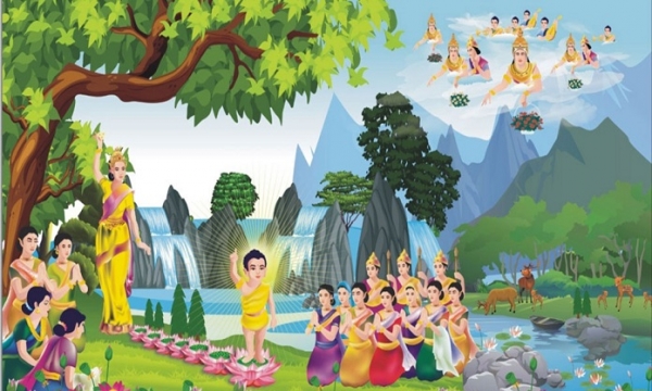 Tại sao Đức Phật chọn đản sinh nơi rừng cây?