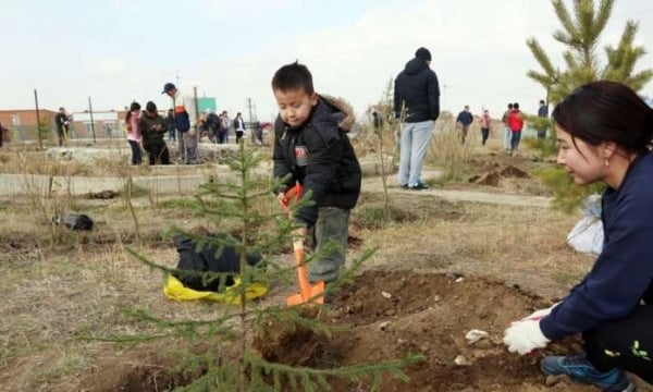 Mông Cổ phát động chiến dịch trồng một tỷ cây xanh vào năm 2030