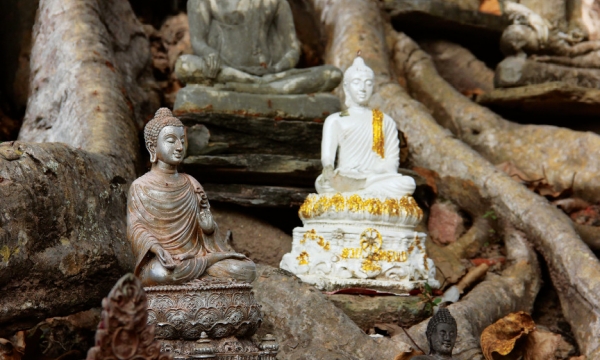 Lời Phật dạy về Chánh tinh tấn trong Kinh Bồ Đề Vương Tử