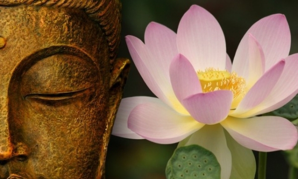 Học và hành trì theo lời Phật dạy