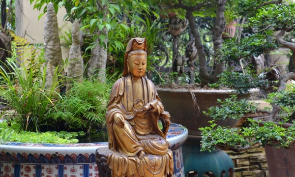Nhân duyên gặp Phật